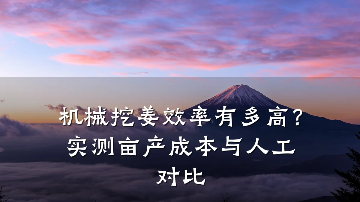 机械挖姜效率有多高?实测亩产成本与人工对比