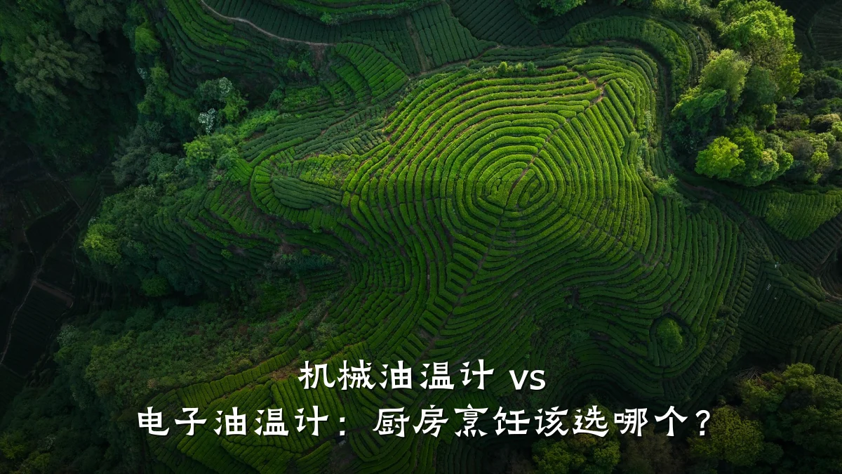 机械油温计 vs 电子油温计：厨房烹饪该选哪个？