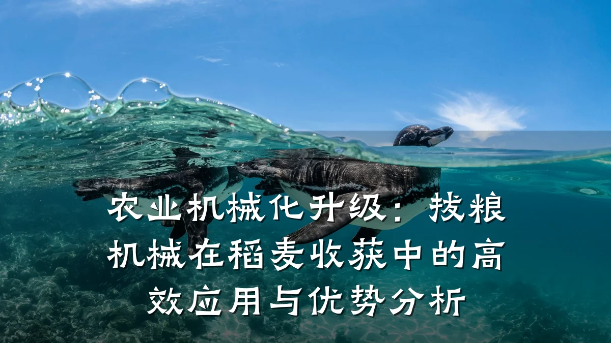 农业机械化升级:拔粮机械在稻麦收获中的高效应用与优势分析