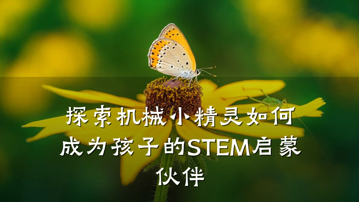 探索机械小精灵如何成为孩子的STEM启蒙伙伴