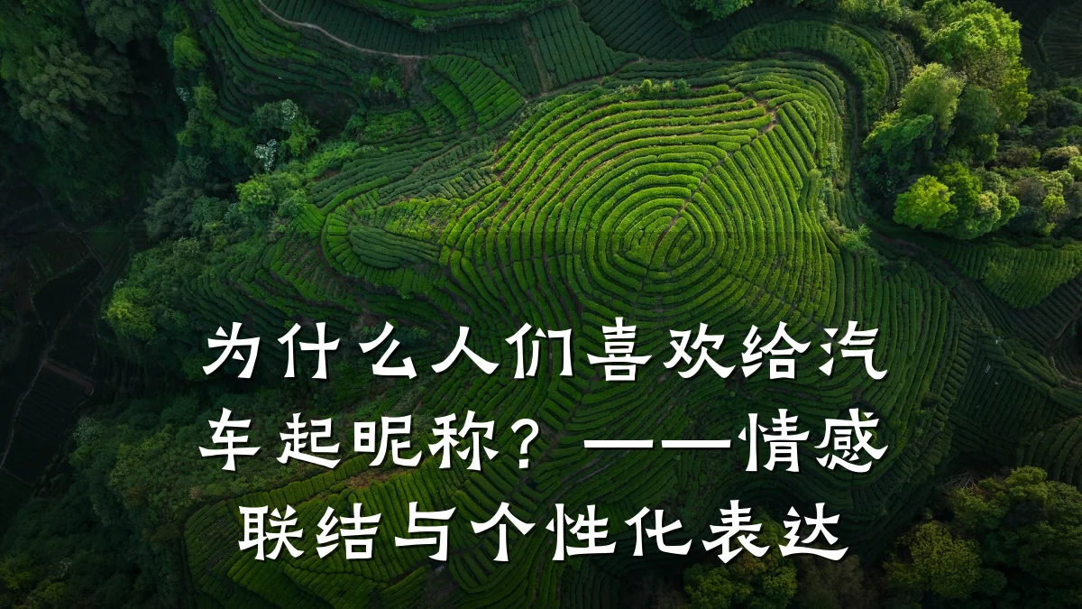 为什么人们喜欢给汽车起昵称?——情感联结与个性化表达