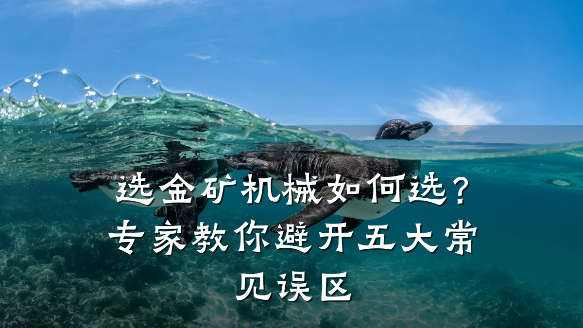 选金矿机械如何选?专家教你避开五大常见误区