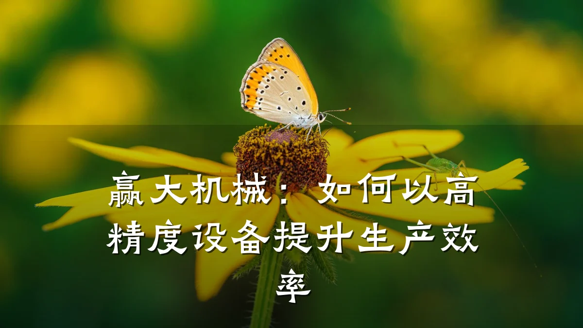 赢大机械：如何以高精度设备提升生产效率