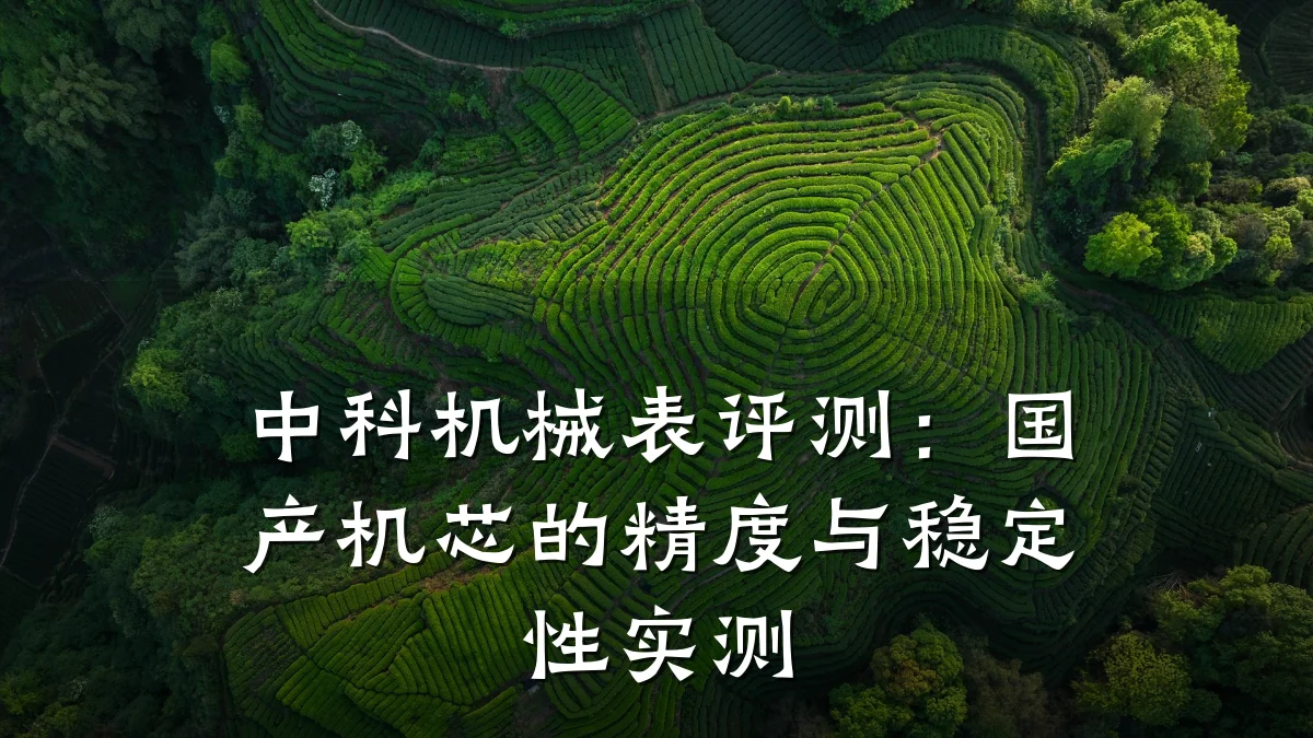 中科机械表评测:国产机芯的精度与稳定性实测