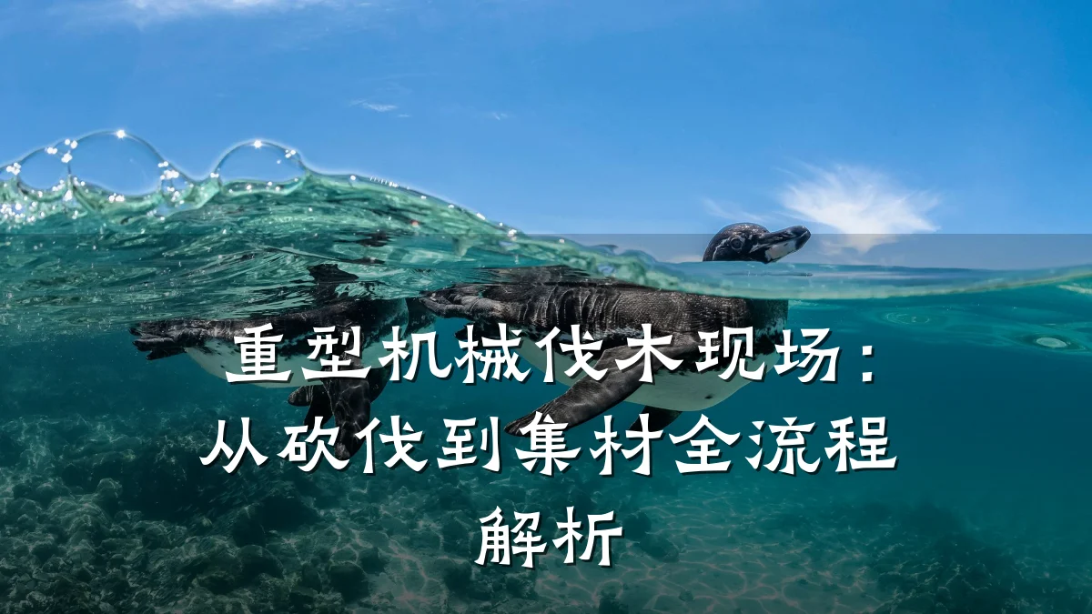 重型机械伐木现场：从砍伐到集材全流程解析