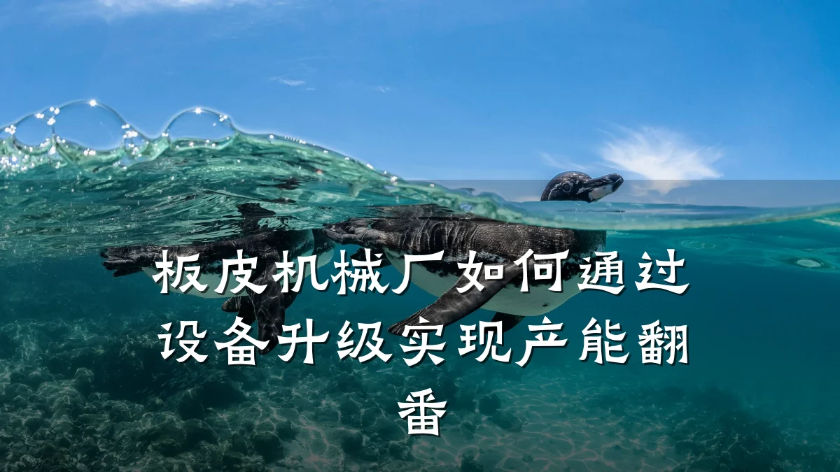 板皮机械厂如何通过设备升级实现产能翻番
