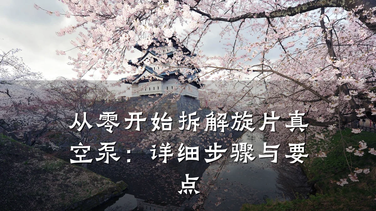从零开始拆解旋片真空泵:详细步骤与要点