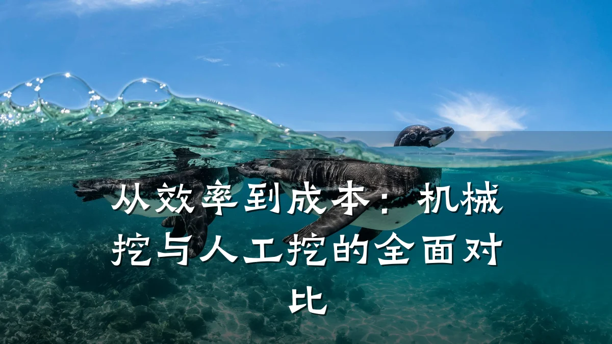 从效率到成本：机械挖与人工挖的全面对比