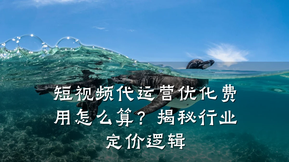 短视频代运营优化费用怎么算?揭秘行业定价逻辑