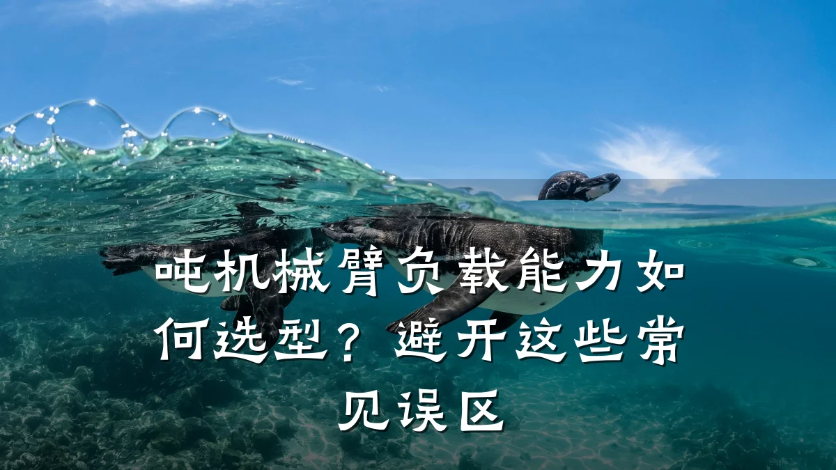 吨机械臂负载能力如何选型？避开这些常见误区