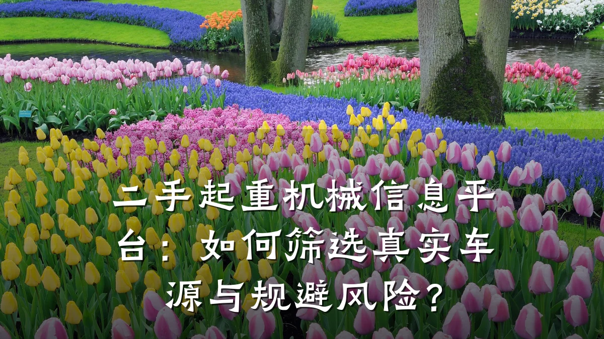 二手起重机械信息平台：如何筛选真实车源与规避风险？