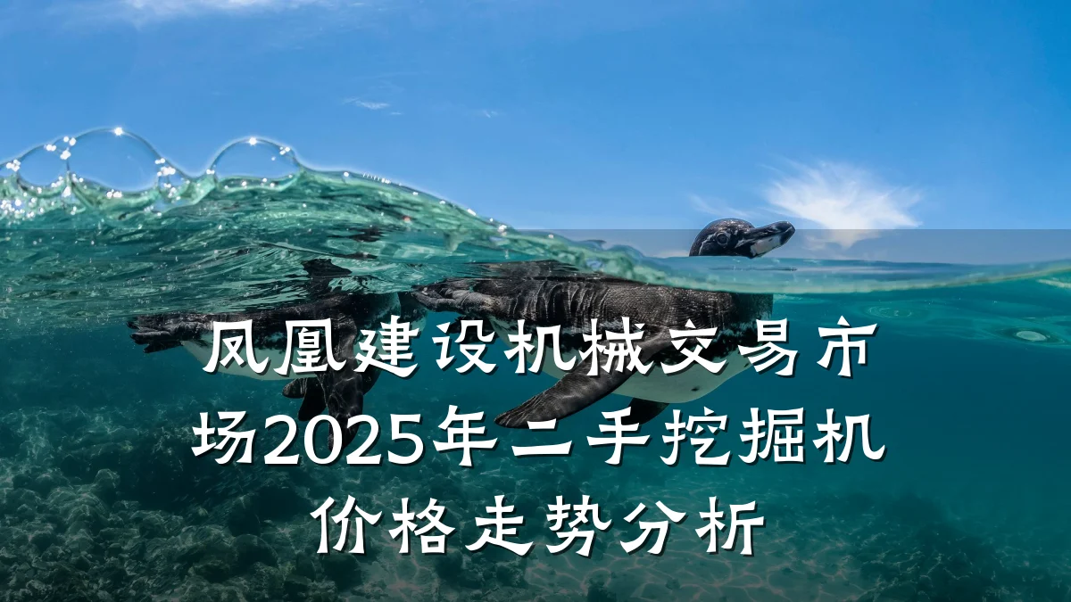 凤凰建设机械交易市场2025年二手挖掘机价格走势分析
