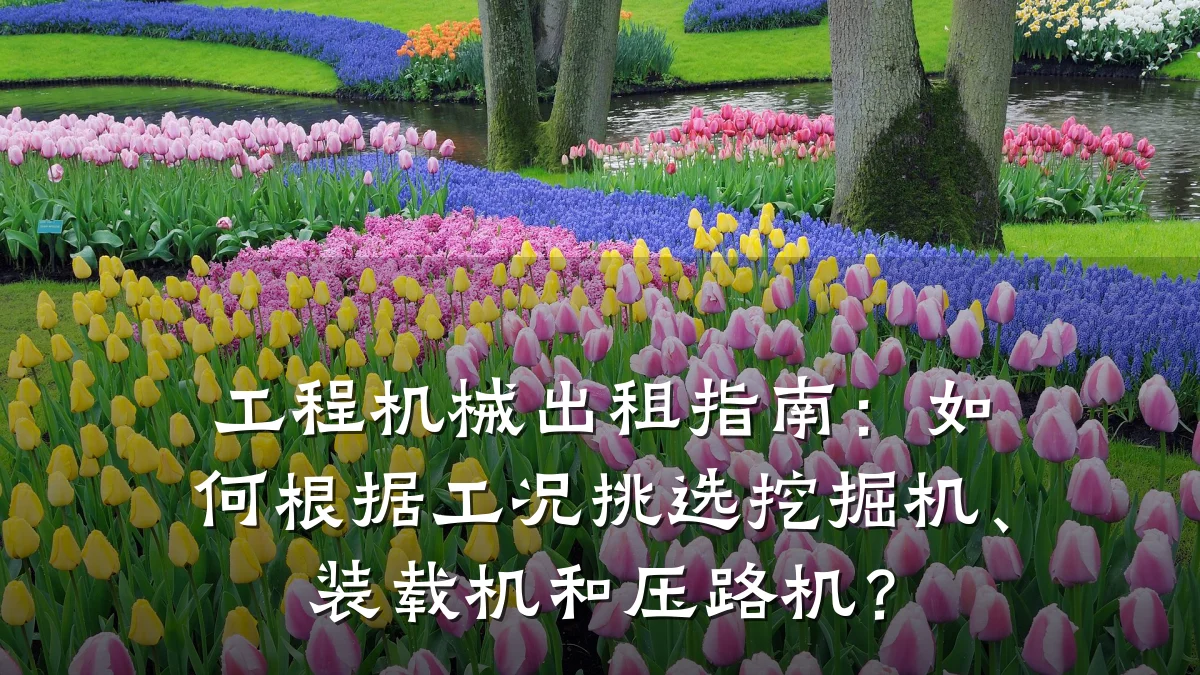 工程机械出租指南:如何根据工况挑选挖掘机、装载机和压路机?