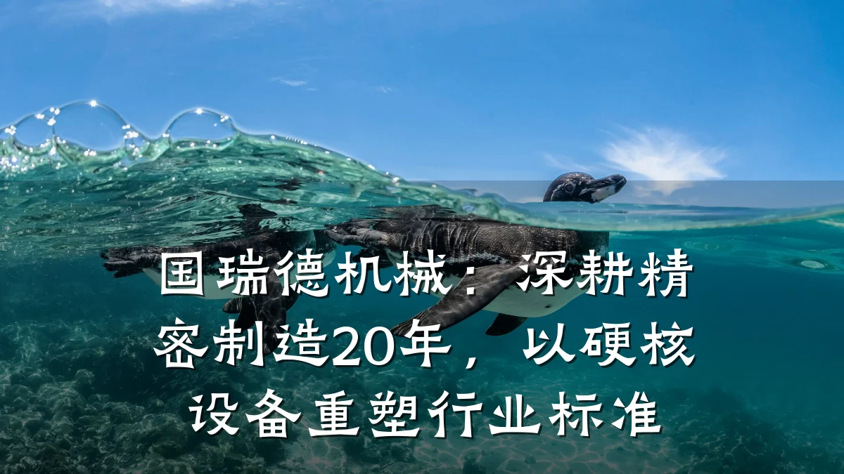 国瑞德机械：深耕精密制造20年，以硬核设备重塑行业标准