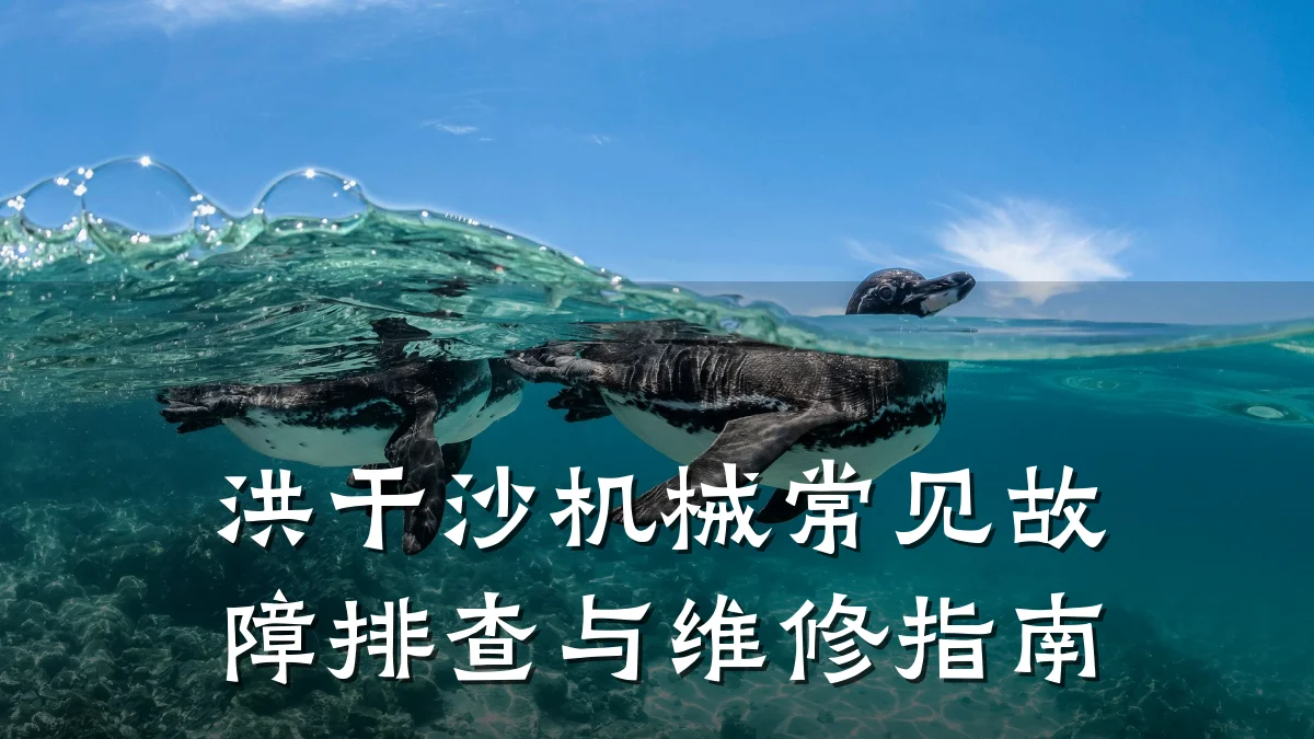 洪干沙机械常见故障排查与维修指南