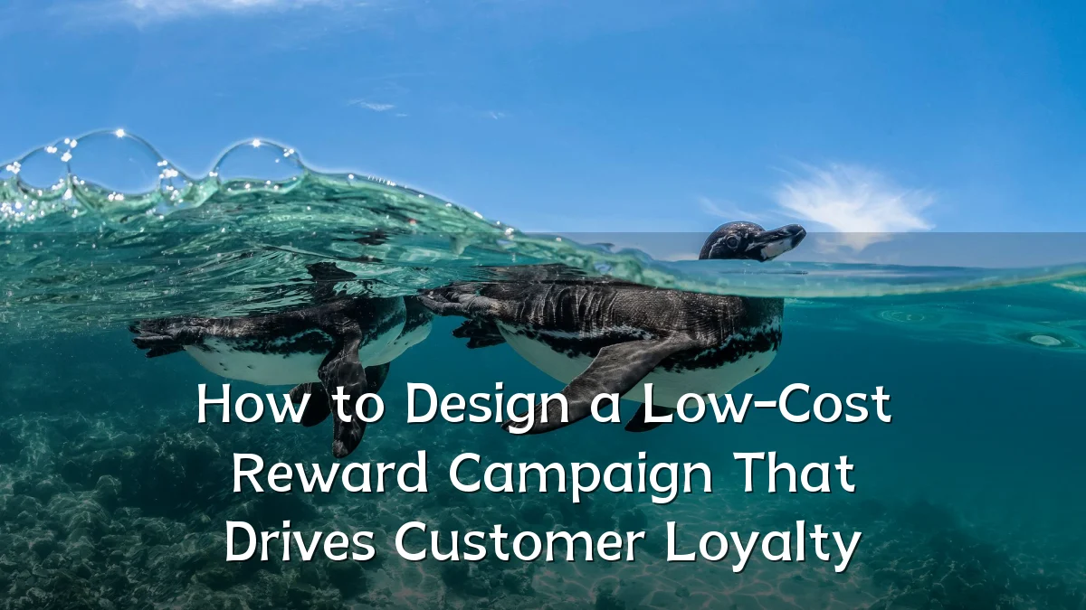 How to Design a Low-Cost Reward Campaign That Drives Customer Loyalty