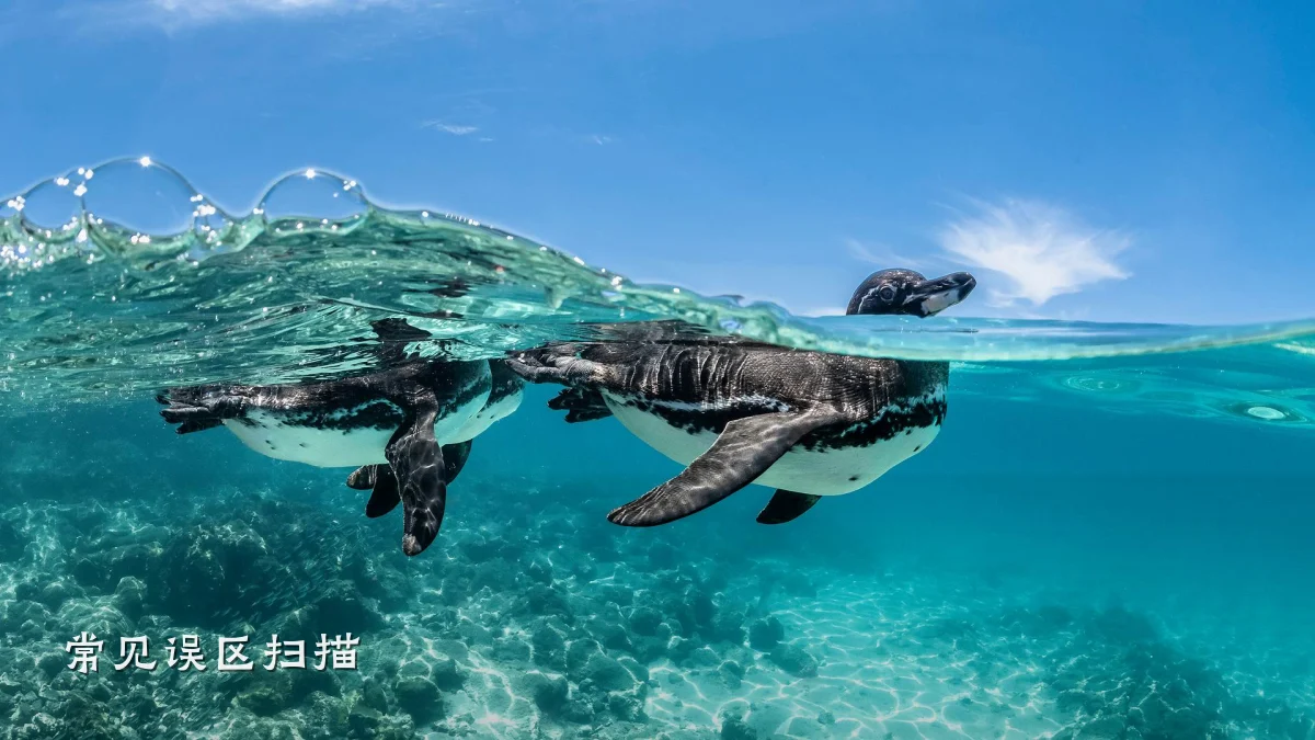常见误区扫描