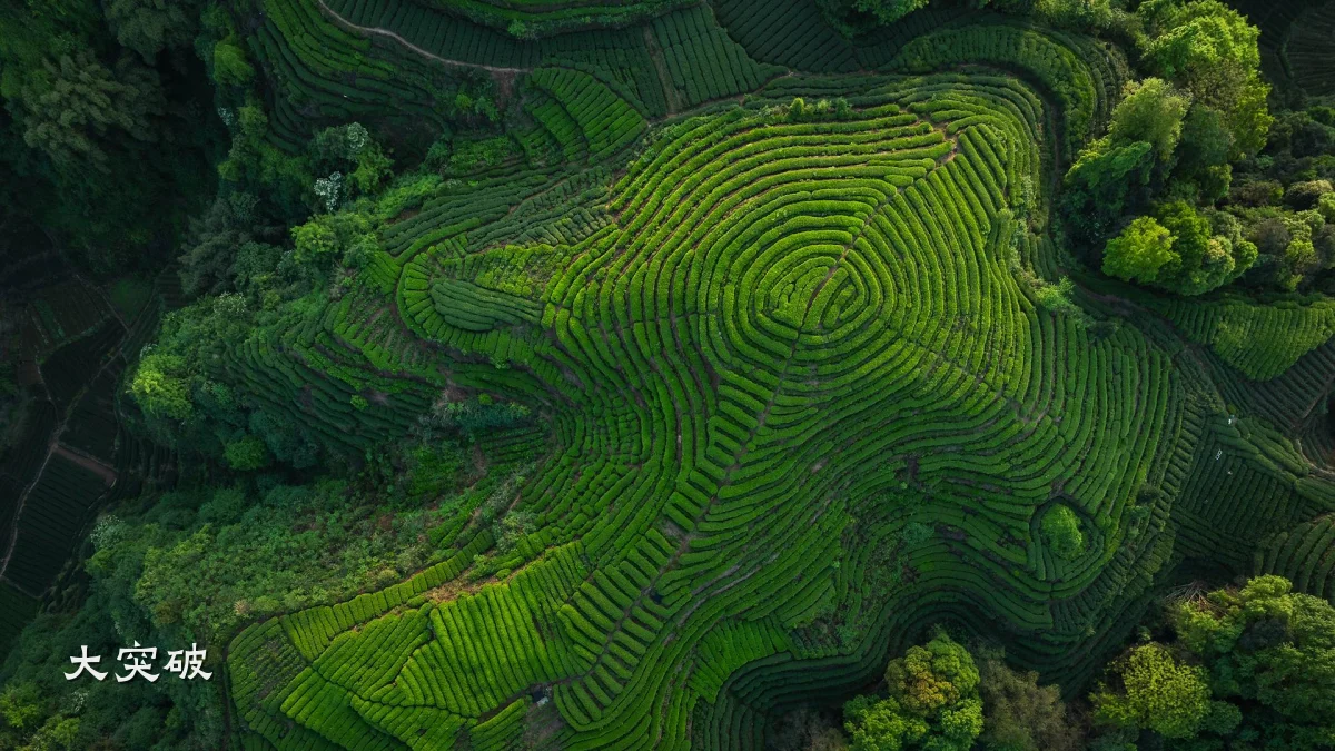 大突破