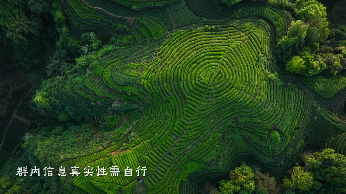 群内信息真实性需自行