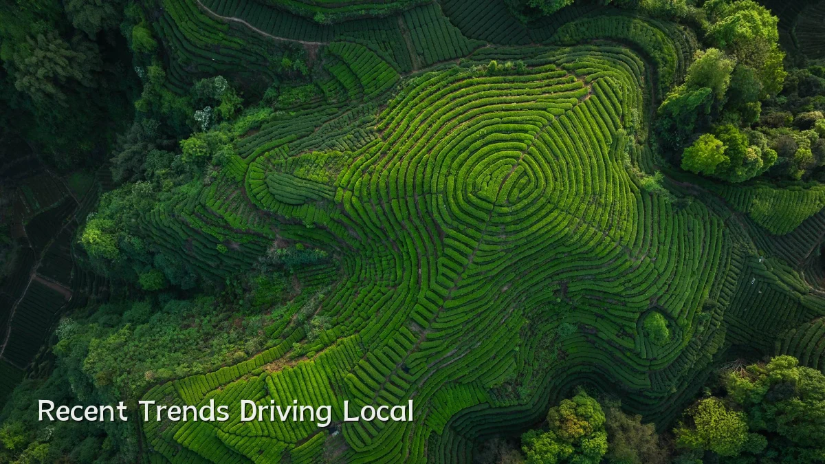 Recent Trends Driving Local