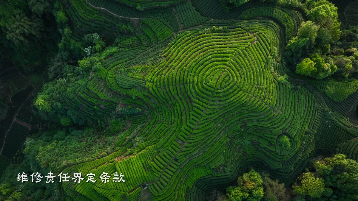 维修责任界定条款