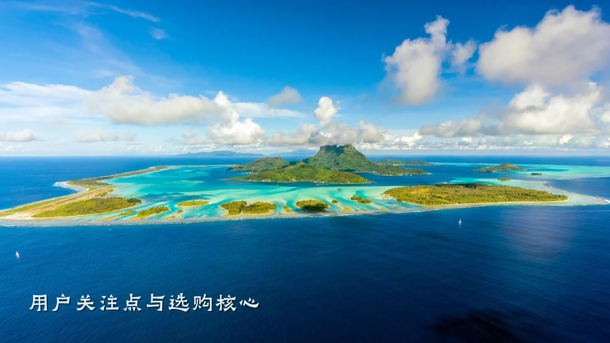 用户关注点与选购核心