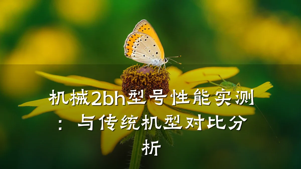机械2bh型号性能实测:与传统机型对比分析