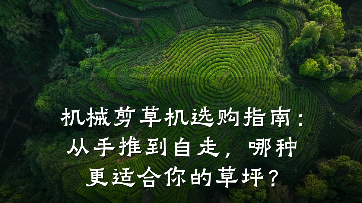 机械剪草机选购指南:从手推到自走,哪种更适合你的草坪?