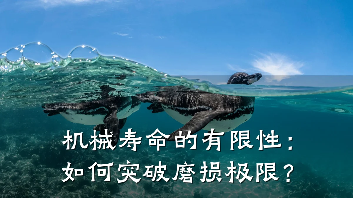 机械寿命的有限性：如何突破磨损极限？