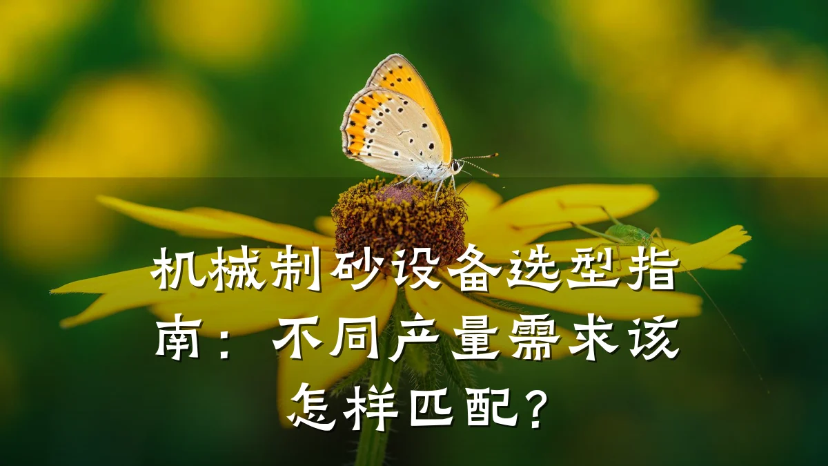 机械制砂设备选型指南：不同产量需求该怎样匹配？