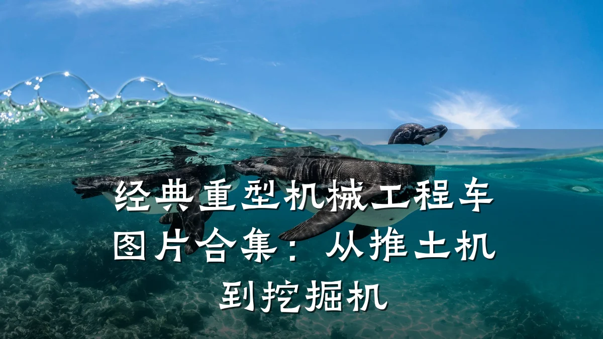 经典重型机械工程车图片合集：从推土机到挖掘机
