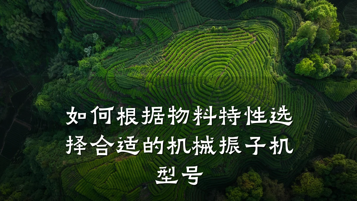 如何根据物料特性选择合适的机械振子机型号