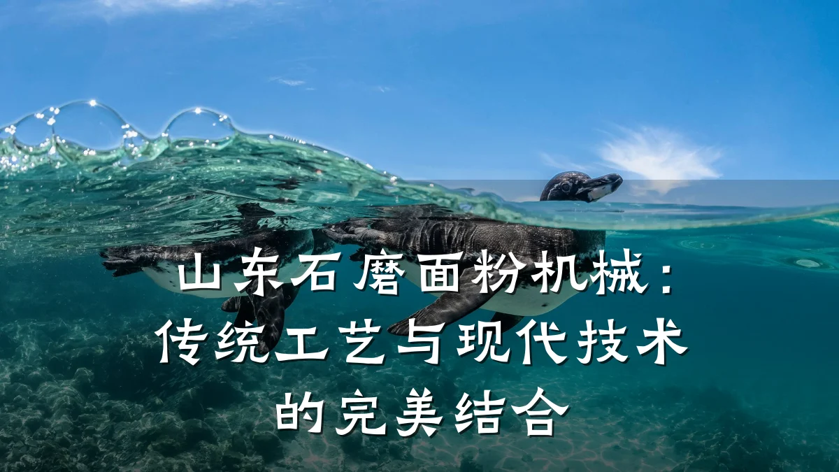 山东石磨面粉机械:传统工艺与现代技术的完美结合