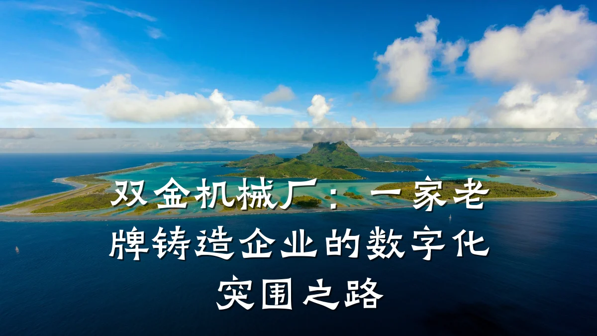 双金机械厂：一家老牌铸造企业的数字化突围之路