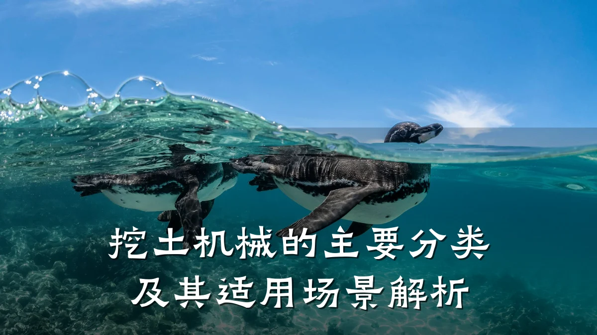 挖土机械的主要分类及其适用场景解析