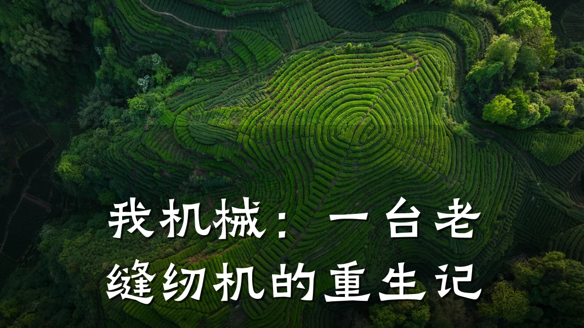 我机械：一台老缝纫机的重生记