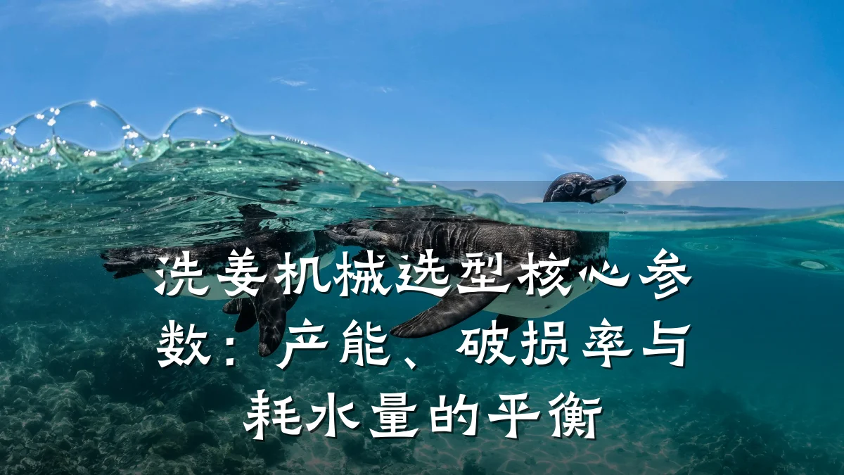 洗姜机械选型核心参数:产能、破损率与耗水量的平衡