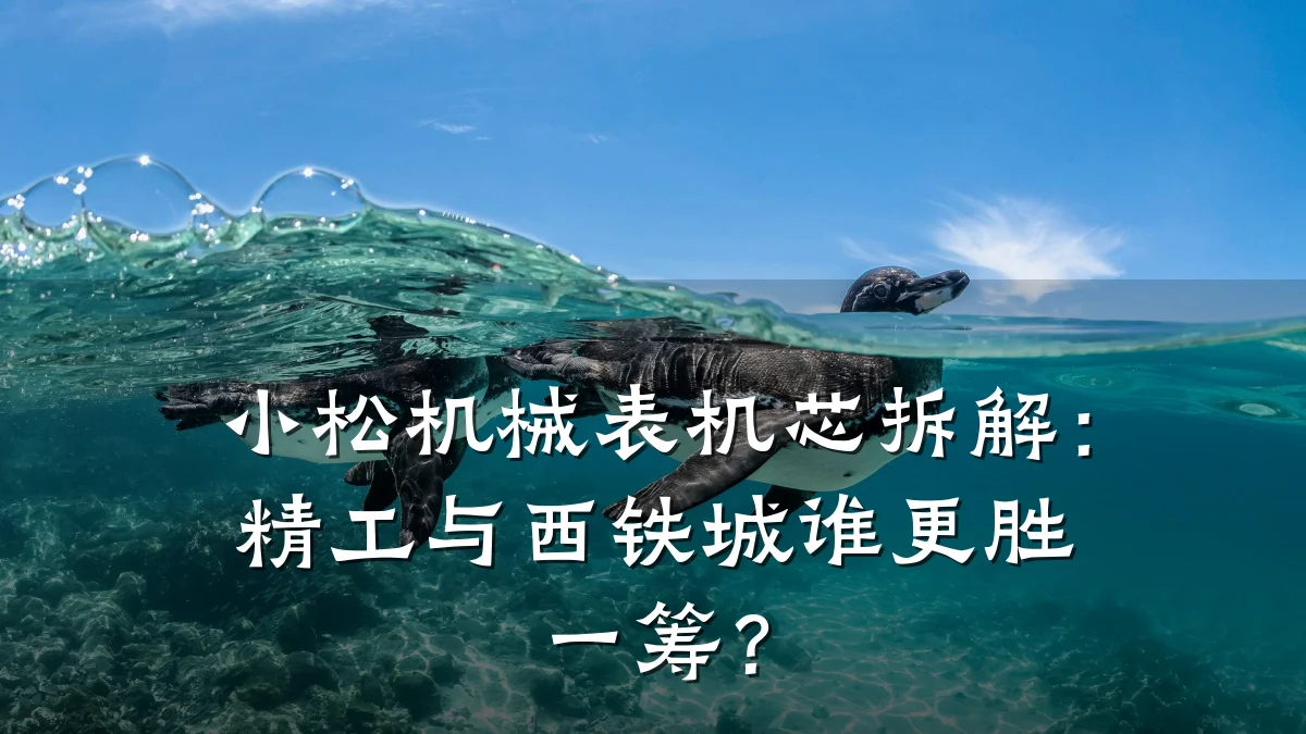 小松机械表机芯拆解：精工与西铁城谁更胜一筹？