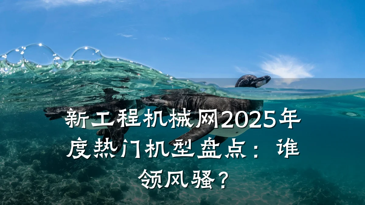 新工程机械网2025年度热门机型盘点：谁领风骚？