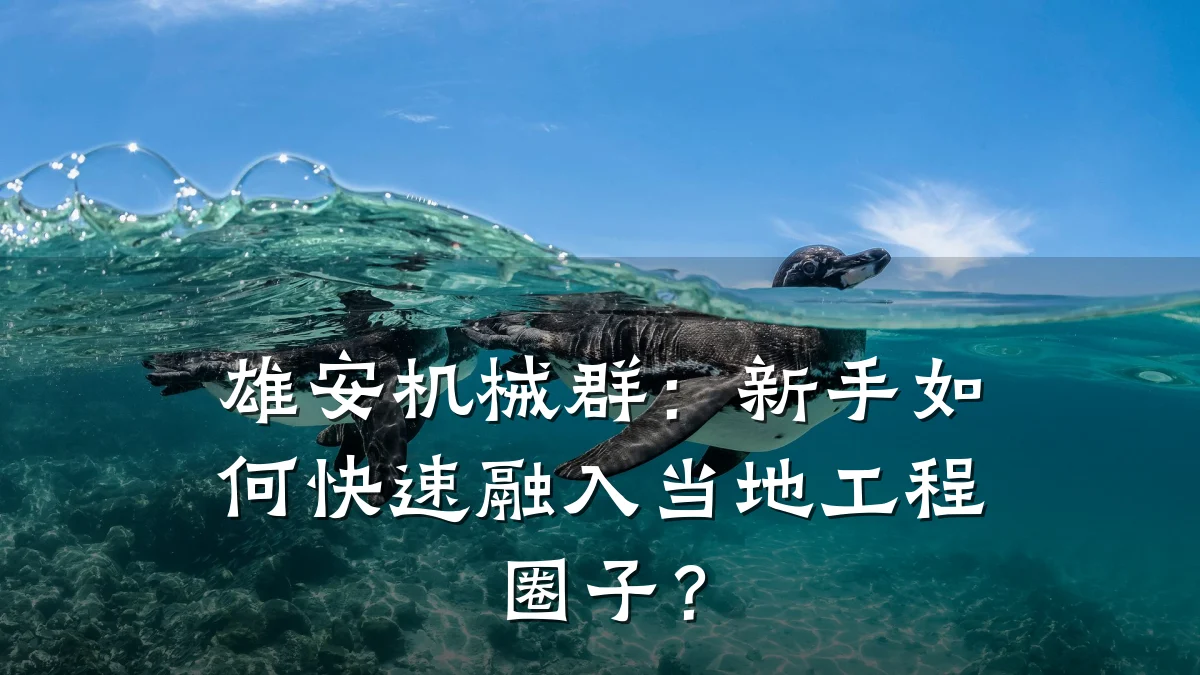 雄安机械群:新手如何快速融入当地工程圈子?