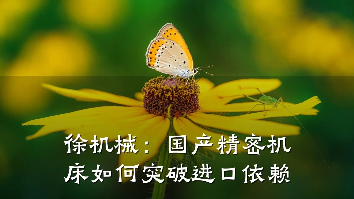 徐机械：国产精密机床如何突破进口依赖