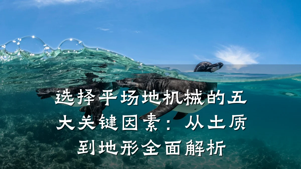 选择平场地机械的五大关键因素：从土质到地形全面解析