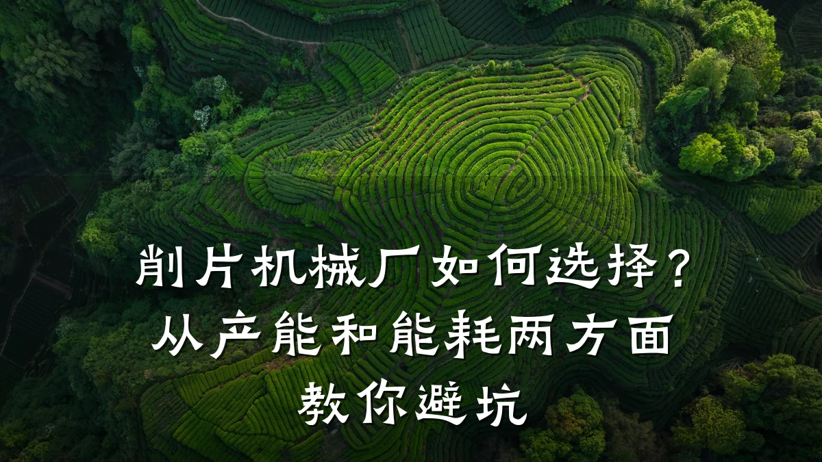 削片机械厂如何选择?从产能和能耗两方面教你避坑