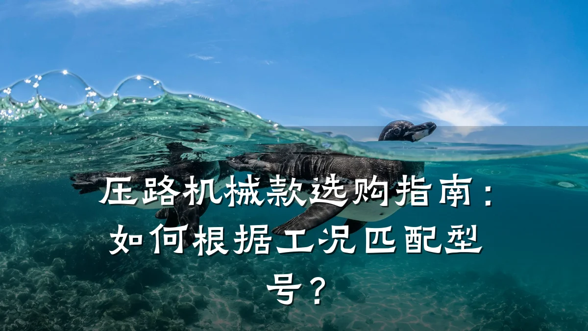 压路机械款选购指南：如何根据工况匹配型号？
