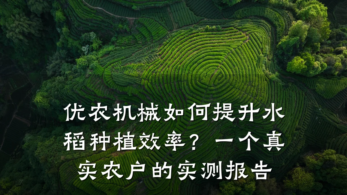 优农机械如何提升水稻种植效率?一个真实农户的实测报告