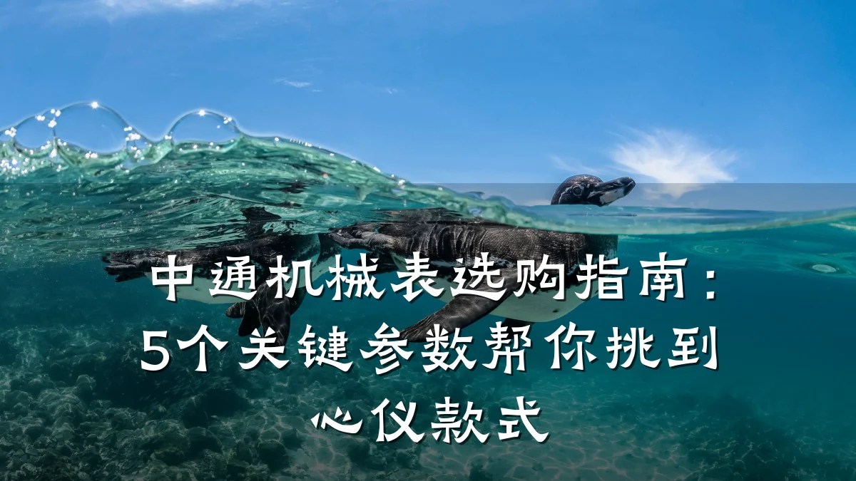中通机械表选购指南:5个关键参数帮你挑到心仪款式