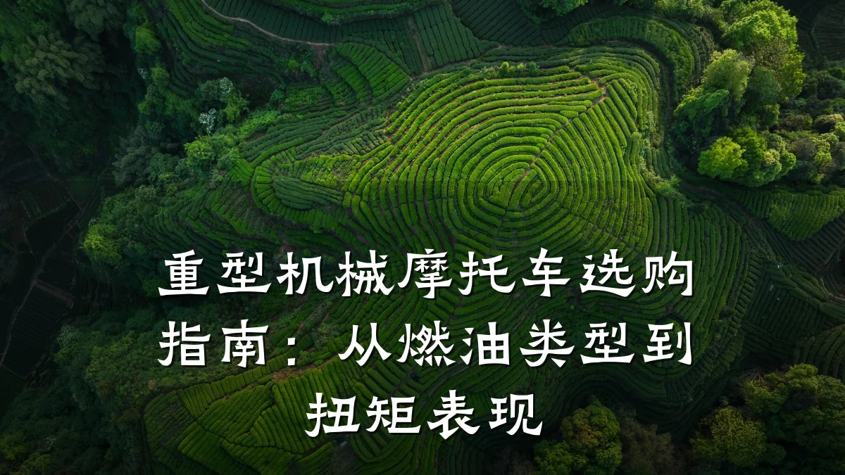 重型机械摩托车选购指南：从燃油类型到扭矩表现