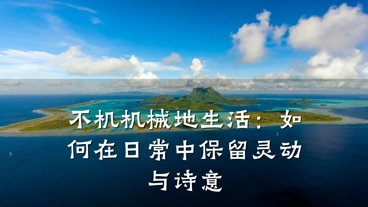 不机机械地生活：如何在日常中保留灵动与诗意