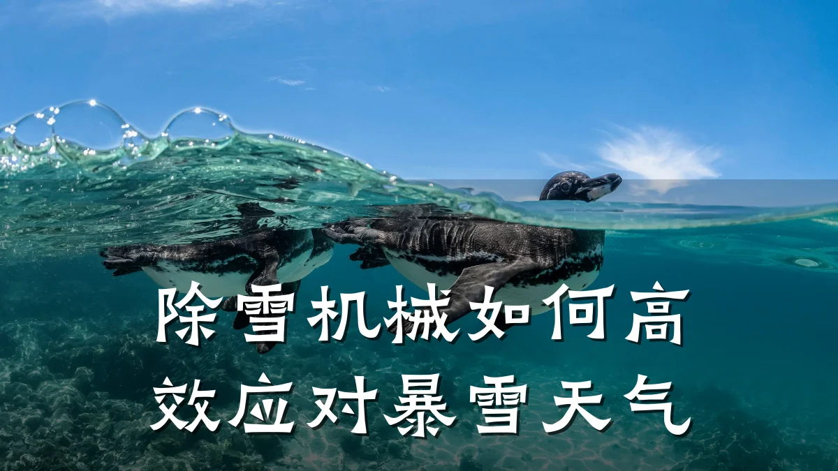 除雪机械如何高效应对暴雪天气