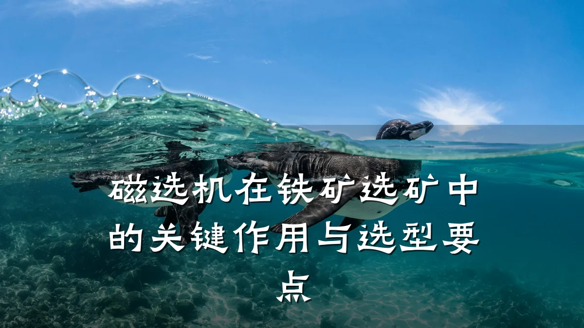 磁选机在铁矿选矿中的关键作用与选型要点